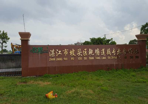 国际人官网藕粉粉丝粉条出产线已经在昌都莲藕合作社起头工作了