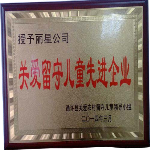 国际人官网公司留守儿童关爱先进企业