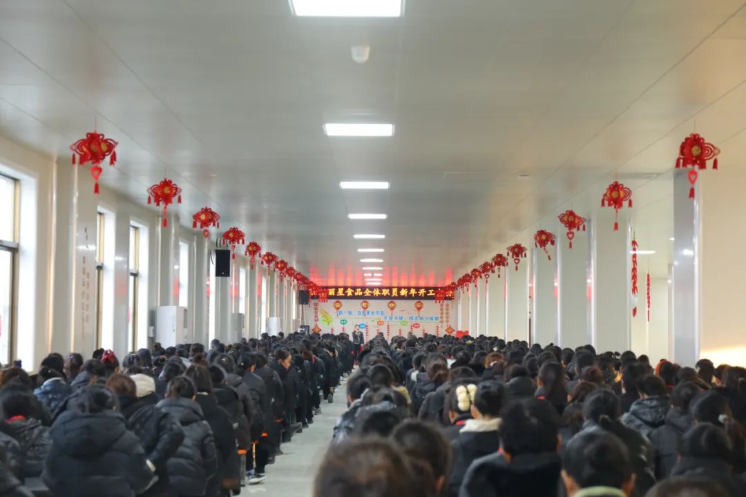 玉兔迎新春，，奋进新征程