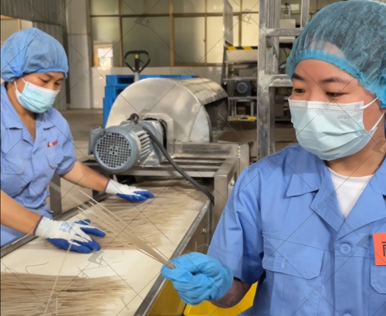 自动化粉条出产线工艺亮点与特点你知晓哪些？