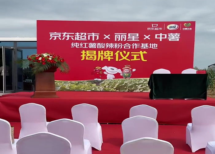 三方联建红薯基地，国际人官网粉丝加工设备主题优势显著