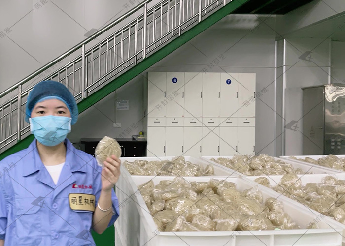 走进酸辣粉出产线，看淀粉若何变身为 Q 弹粉丝
