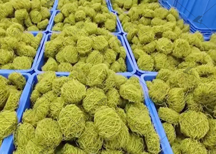 方便粉丝出产线也能加工羽衣甘蓝？？答案是注定的！